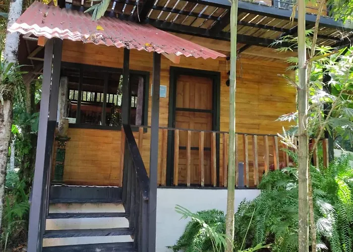 Papaya Wildlife Lodge
