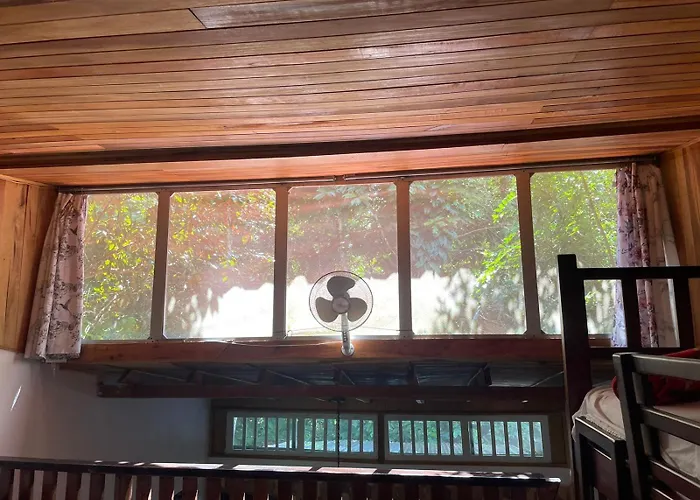 Papaya Wildlife Lodge