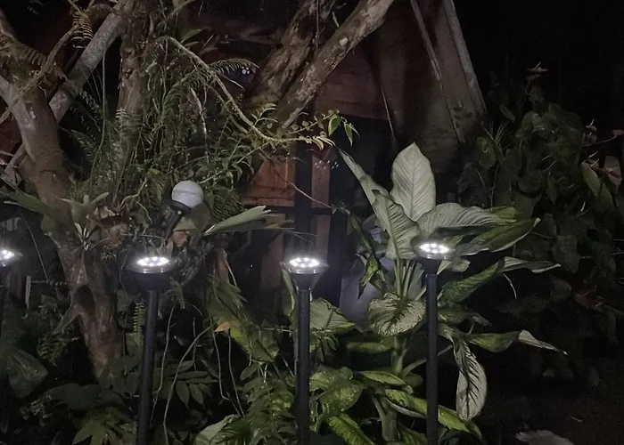 Papaya Wildlife Lodge