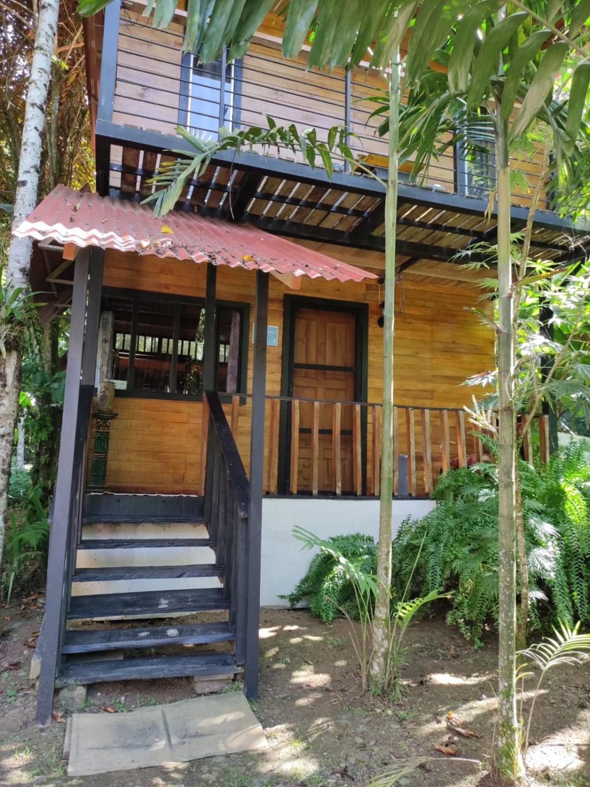 Papaya Wildlife Holiday home Cahuita