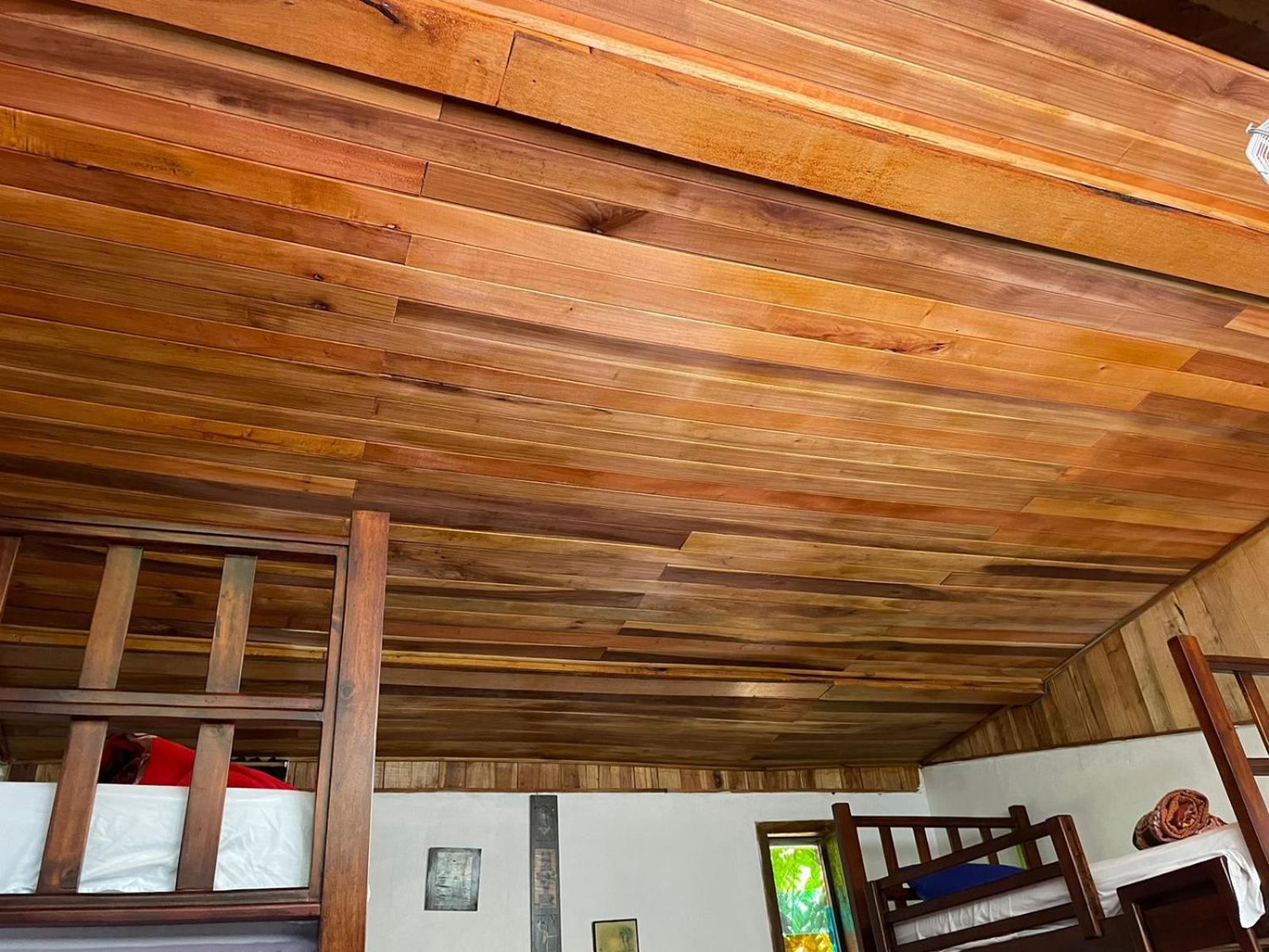 Papaya Wildlife Holiday home Cahuita