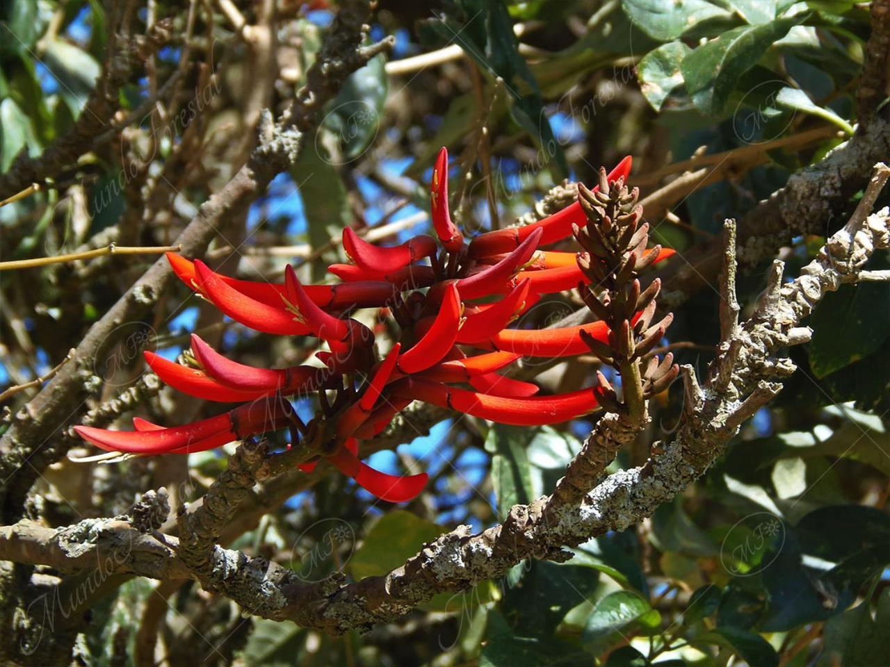 Holiday home Papaya Wildlife Cahuita