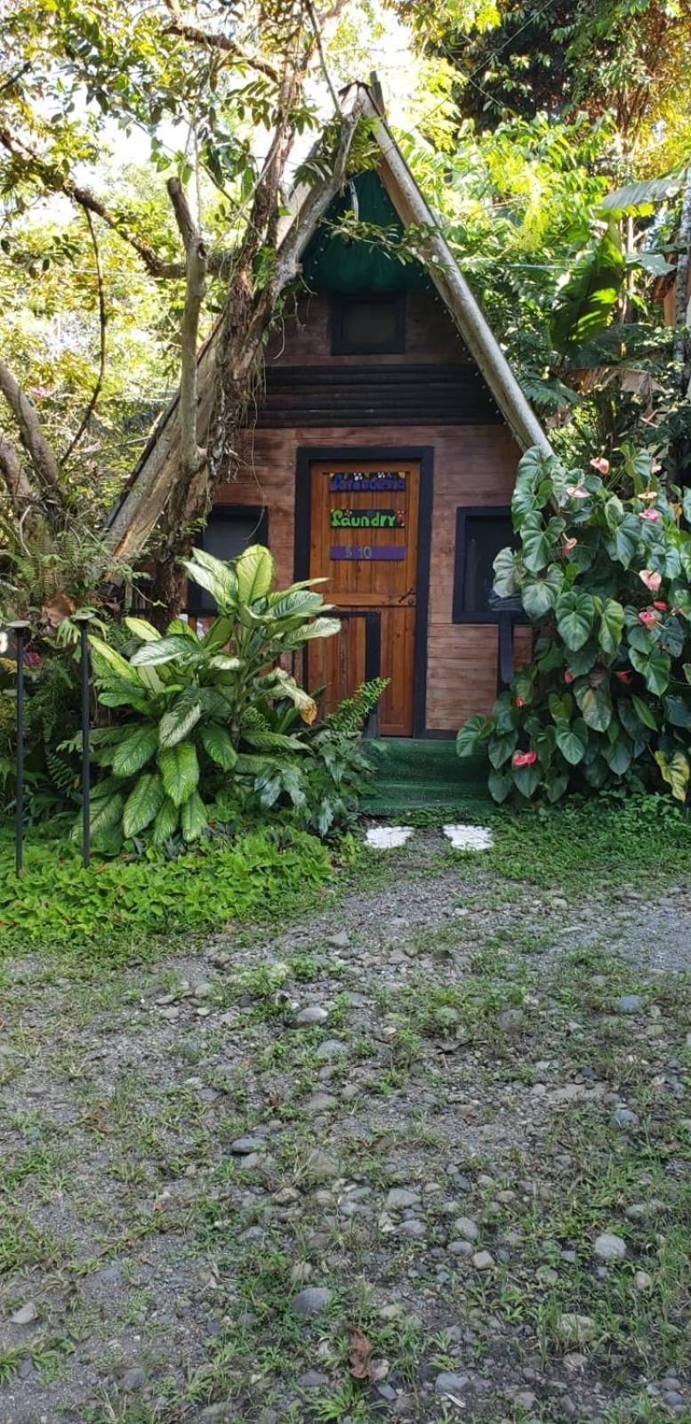 Papaya Wildlife Holiday home Cahuita