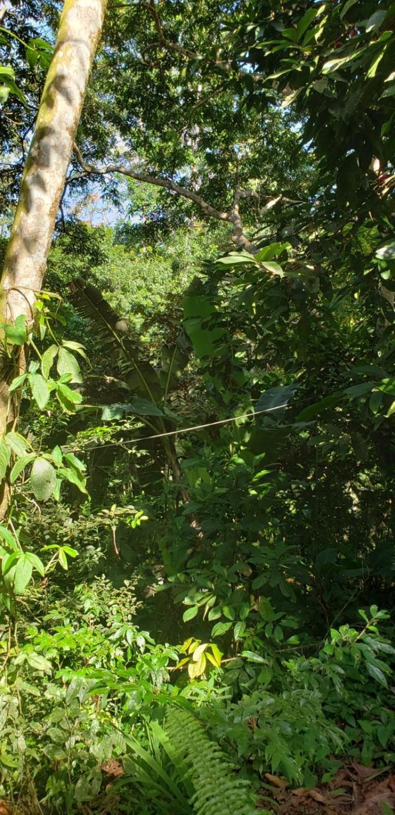 Holiday home Papaya Wildlife